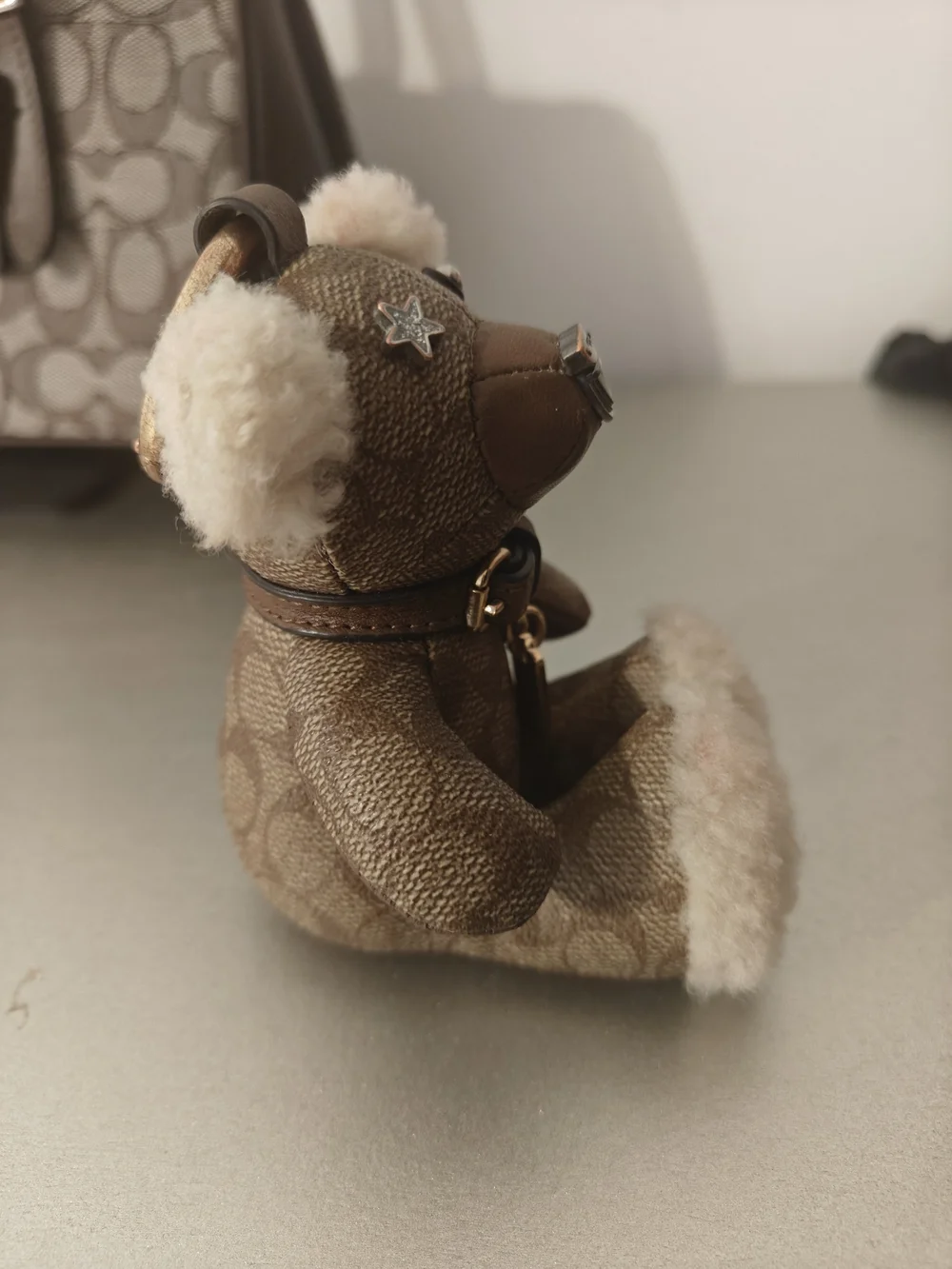 Coach Teddy Bear